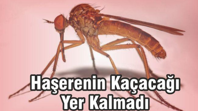 İLERİ TEKNOLOJİ İLE HAZIRLANMIŞLAR