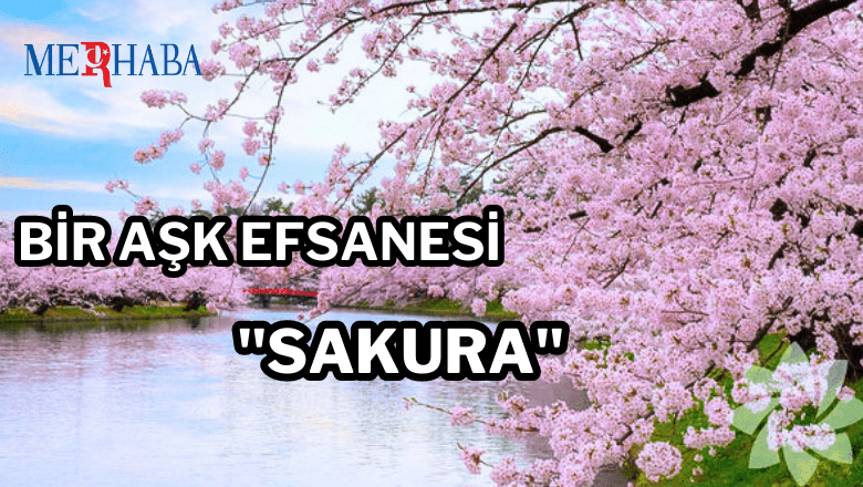 Felsefe Ile Komedi Ayak Isleri 3