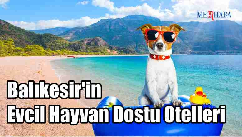 Balıkesir'In Hayvan Dostu Otelleri
