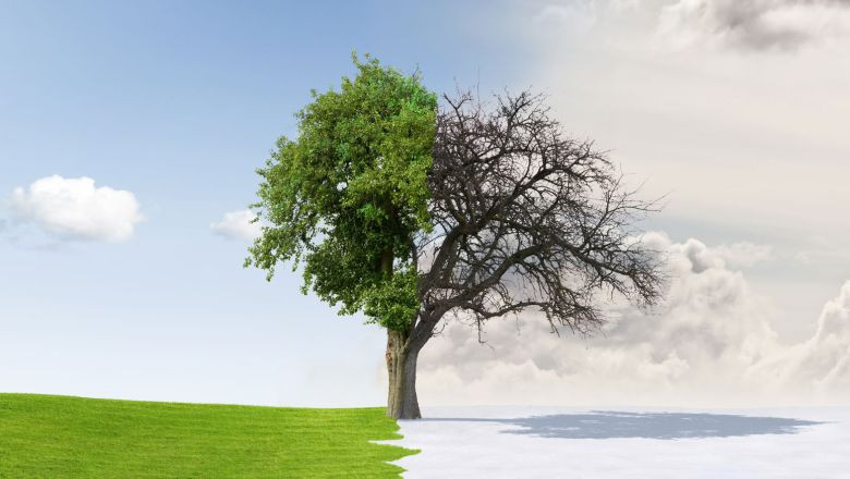 Balıkesir'de Hava Nasıl Olacak ? İşte 5 Günlük Rapor - Gazete Merhaba