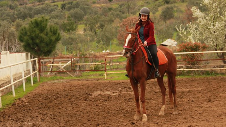 Balıkesir'deki At Çiftlikleri - Gazete Merhaba