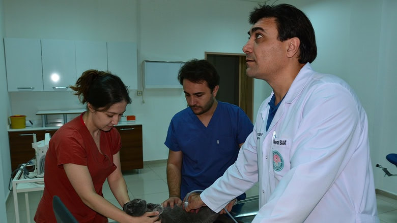 Baun Hayvan Hastanesi Bolge Hayvanciliginin Gozde Merkezi 5