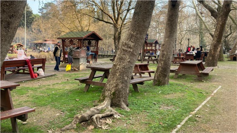 Değirmen Boğazına Dair Bilinmeyenler - Gazete Merhaba