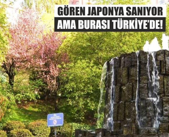 Sakuralar Çiçek Açtı, Vadisi Ziyaretçi Akınına Uğradı