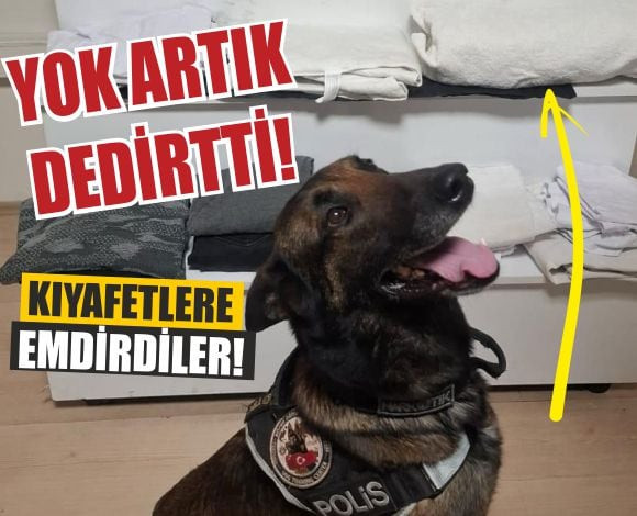 Dangal İz Sürüp Yakaladı: Kıyafete Emdirilmiş!