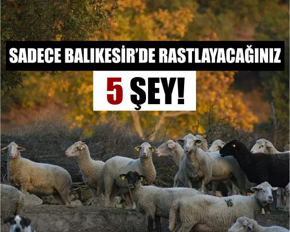Sadece Balıkesir’de Bulabileceğiniz 5 Eşsiz Şey