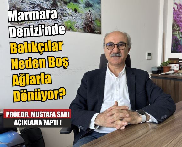 Marmara'Da Balıkçılık Sezonu Felakete Dönüştü