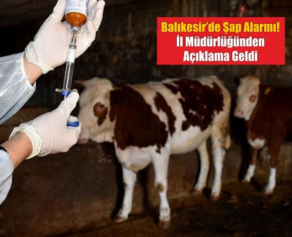 Balıkesir’de Şap Alarmında Son Durum! 
