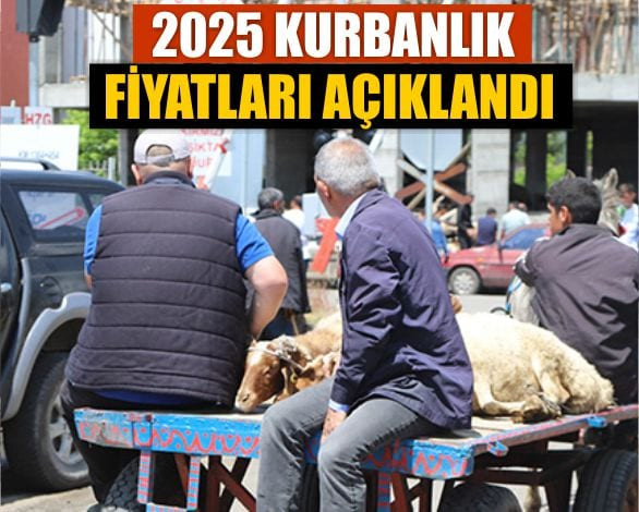 2025 Kurrbablik