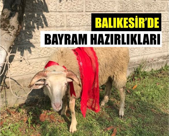 Balıkesir'De Kurban Bayramı Hazırlığı Başladı