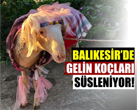 Balıkesir'De 'Gelin Koçu' Geleneği