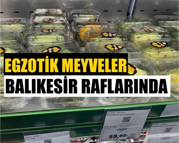 Balıkesirliler Farklı Meyve Arayışında