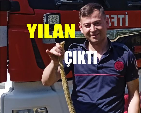 Edremit’te Tırın İçinden Yılan Çıktı!