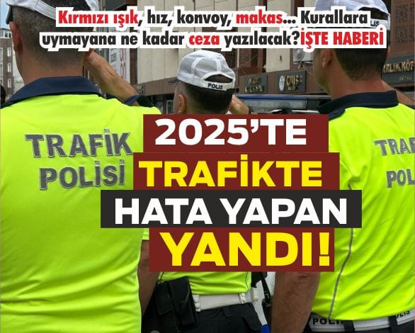 Trsafik Cezalari