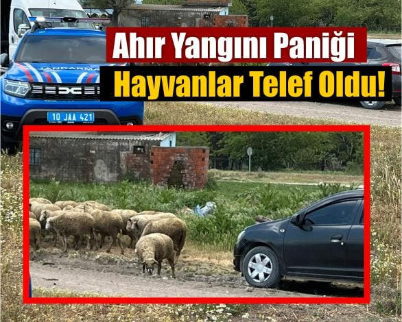 Balıkesir'De Ahır Yangını: 35 Küçükbaş Hayvan Telef Oldu!
