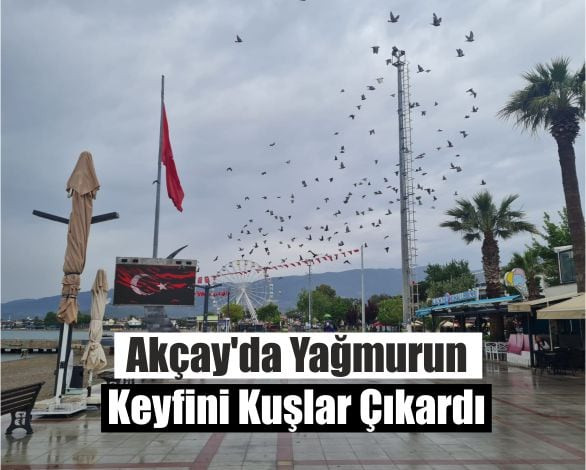 Akcay 1