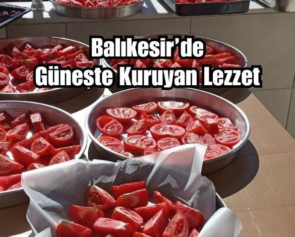 Balıkesir'De Domates Nasıl Kurutulur?