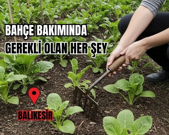 Balıkesir'De Bahçe Bakım Eşyaları Nerede Satılır?