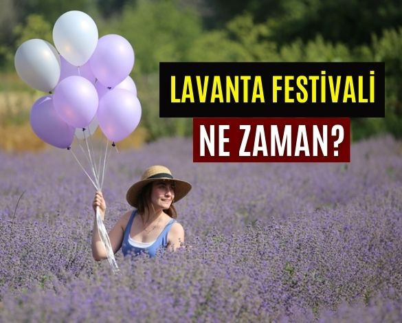 Balıkesir Lavanta Festivali Ne Zaman?