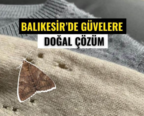 Balıkesir'De Güveleri Doğal Yöntemle Kovun