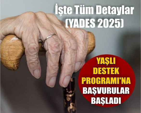 Yaşlı Destek Programı Nedir? Başvurular Başladı!