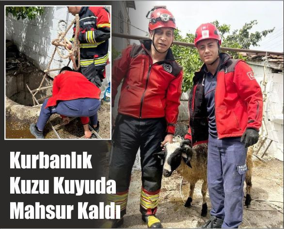 8 Metrelik Kuyuda Mahsur Kalan Kuzu Kurtarıldı