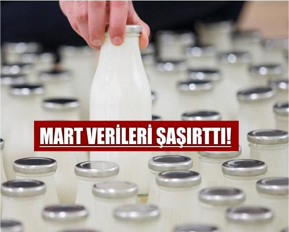 Süt Üretiminde Neler Oluyor?