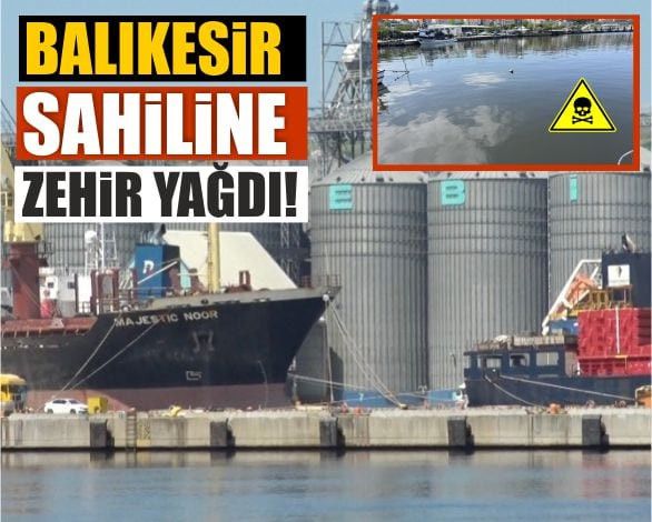 Balıkesir Sahiline Zehir Yağdı!