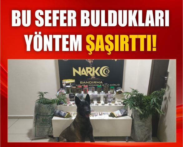 Bandırma’da Zehir Serası! Bakın Ne Yaptılar