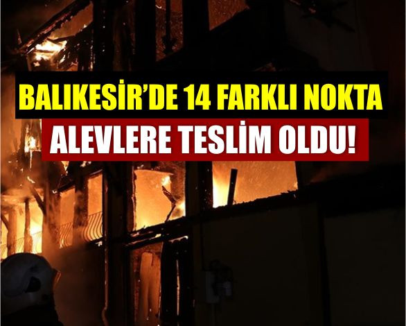 Balıkesir'De Yangın Alarmı: 1 Haftada 14 Ayrı Noktada Alevlerle Mücadele
