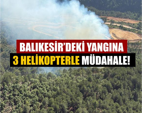 Bigadiç'Te Çıkan Yangın, Karadan Sudan Müdahaleyle Söndü!