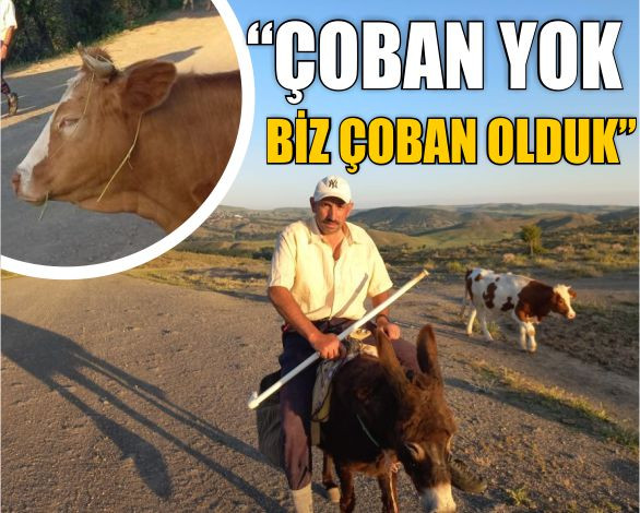 100 Bin Lira Maaşa Rağmen Kimse Yapmak İstemiyor!