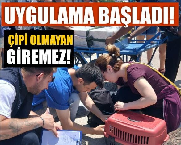 Kimliksiz Ve Çipsiz Girişler Yasaklandı! İşte Uygulama